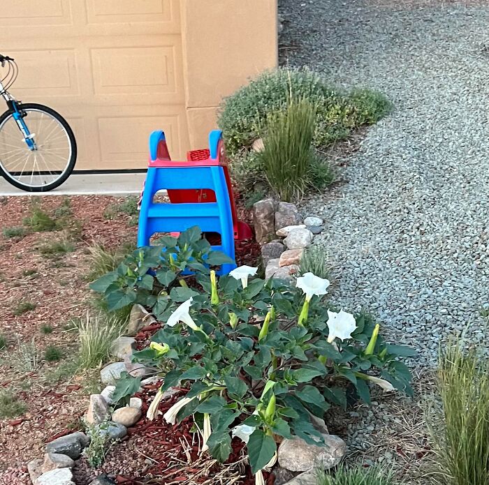 “Anything Is Edible Once”: 92 People Who Came Close To Death And Didn’t Even Realize It