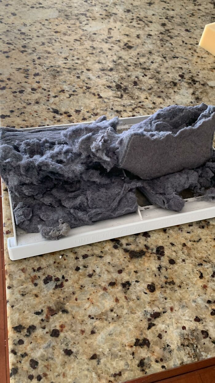“Anything Is Edible Once”: 92 People Who Came Close To Death And Didn’t Even Realize It