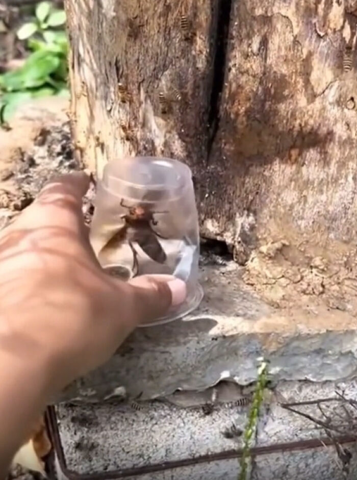 “Anything Is Edible Once”: 92 People Who Came Close To Death And Didn’t Even Realize It