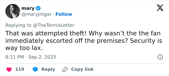 Tennis Fan Tries To Steal From Jannik Sinner&#8217;s Bag In Viral US Open Moment, Player Responds