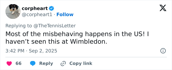 Tennis Fan Tries To Steal From Jannik Sinner&#8217;s Bag In Viral US Open Moment, Player Responds