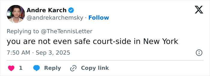 Tennis Fan Tries To Steal From Jannik Sinner&#8217;s Bag In Viral US Open Moment, Player Responds