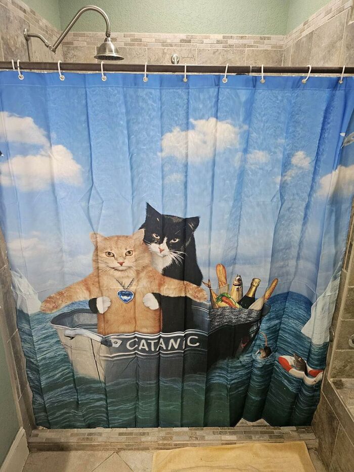 77 Times Animals Charmed Us With Being In Very Weird Places