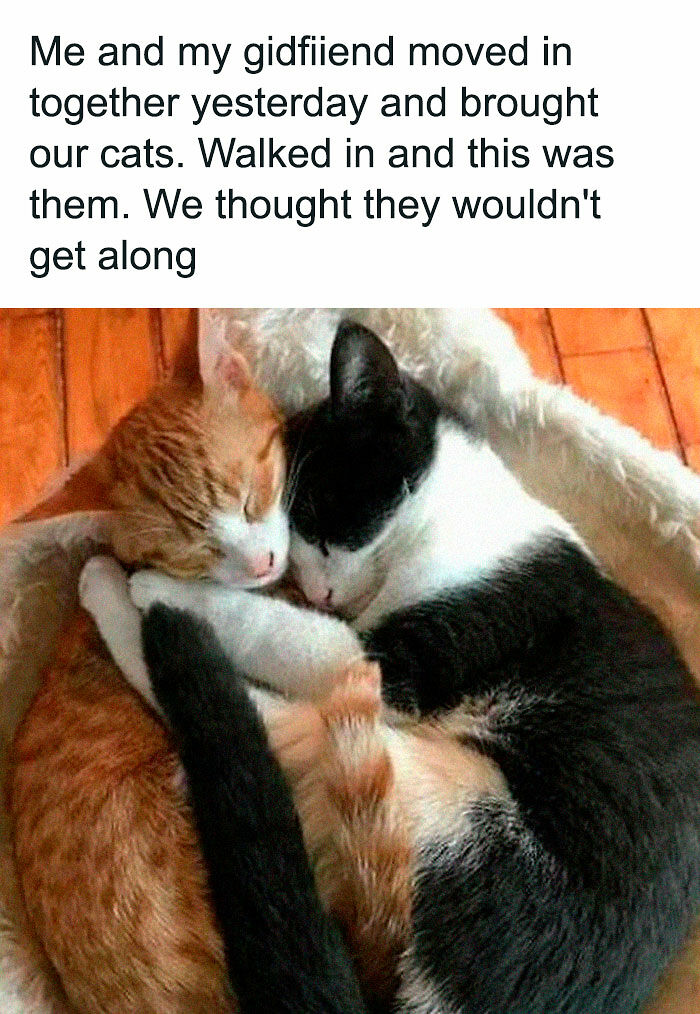 80 Uplifting Posts For Anyone Who’s Had A Rough Week