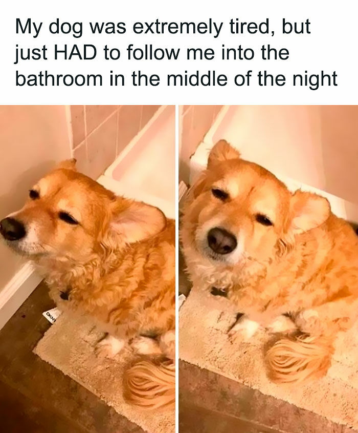 80 Uplifting Posts For Anyone Who’s Had A Rough Week