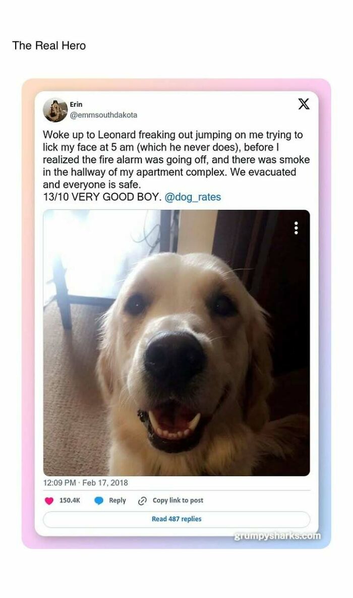 80 Uplifting Posts For Anyone Who’s Had A Rough Week