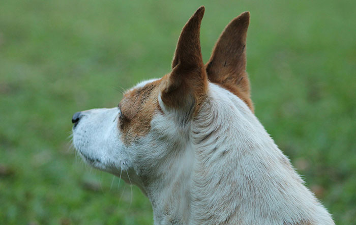 47 Times People Trusted Their Instincts And Avoided Major Regret
