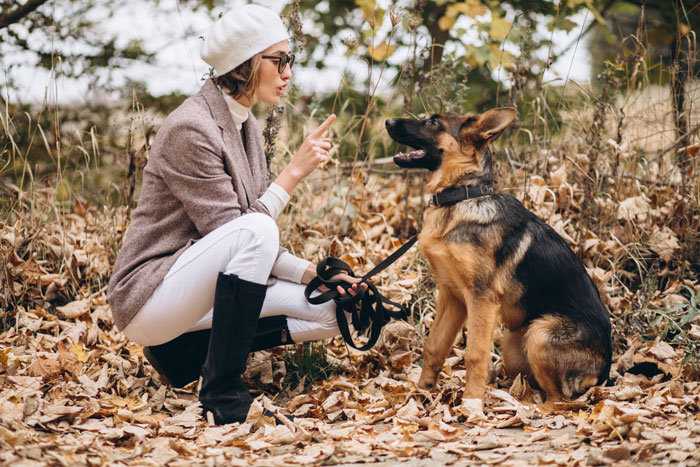 Woman Leaves Dog In The Shelter, Then Tries To Get Him Back As He’s Adopted, Police Gets Involved