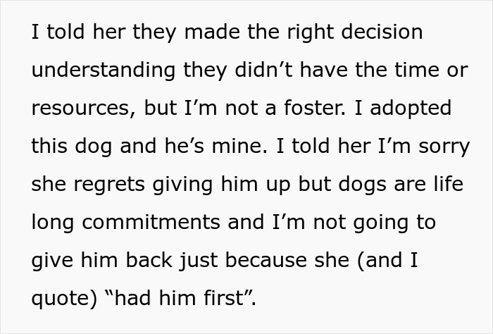 Woman Leaves Dog In The Shelter, Then Tries To Get Him Back As He’s Adopted, Police Gets Involved