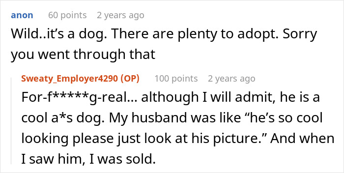 Woman Leaves Dog In The Shelter, Then Tries To Get Him Back As He’s Adopted, Police Gets Involved