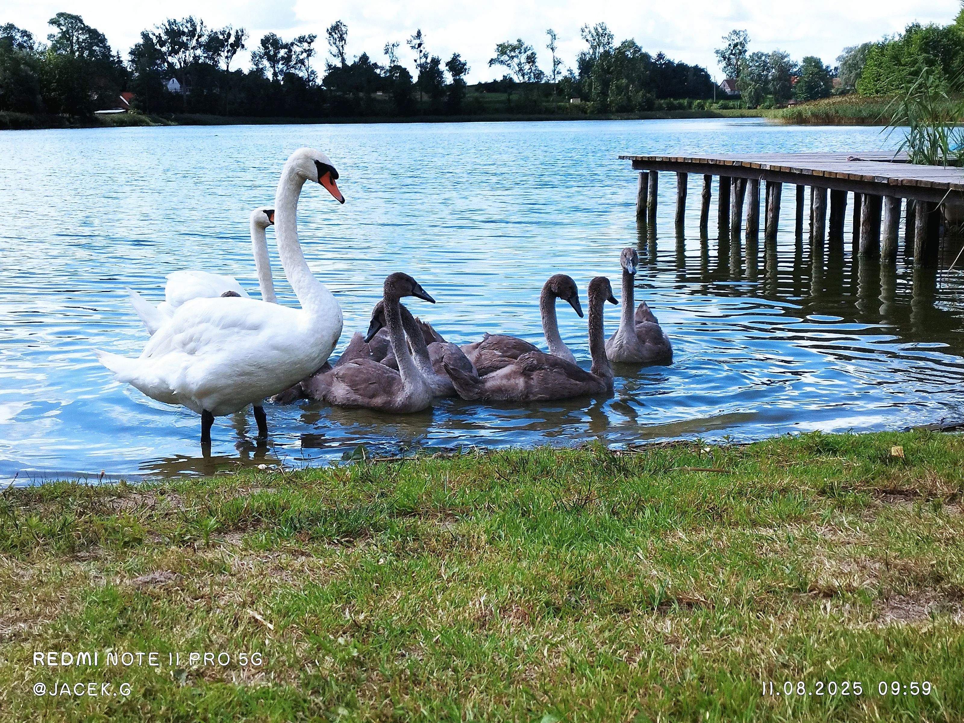 50 Animal Photos The Crowd Voted As Their Favorites In Photocrowd’s Contest