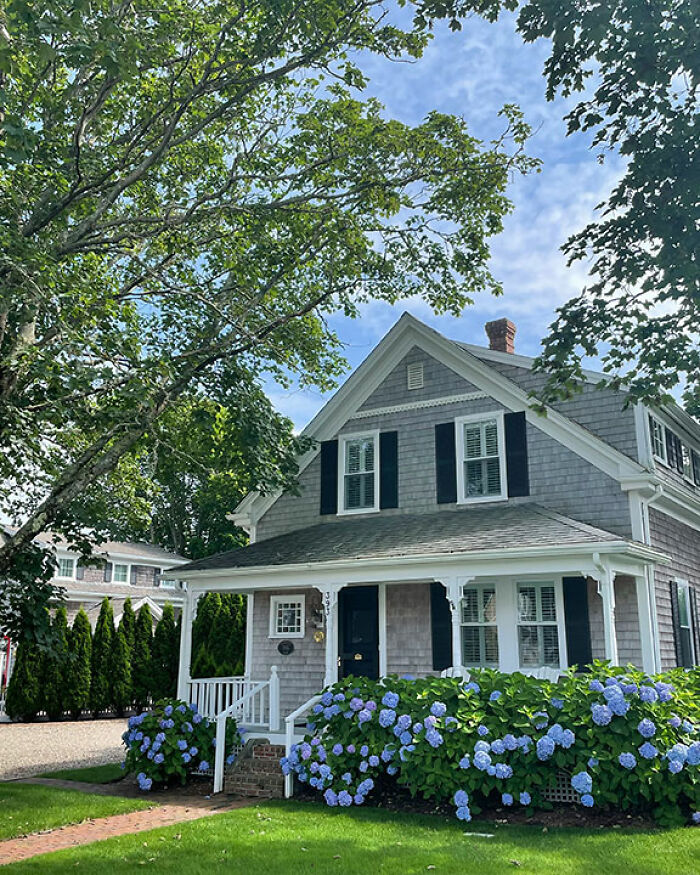 &#8220;Call The Cops&#8221;: Man&#8217;s Ongoing Plant Feud With House&#8217;s Former Owner Goes Viral