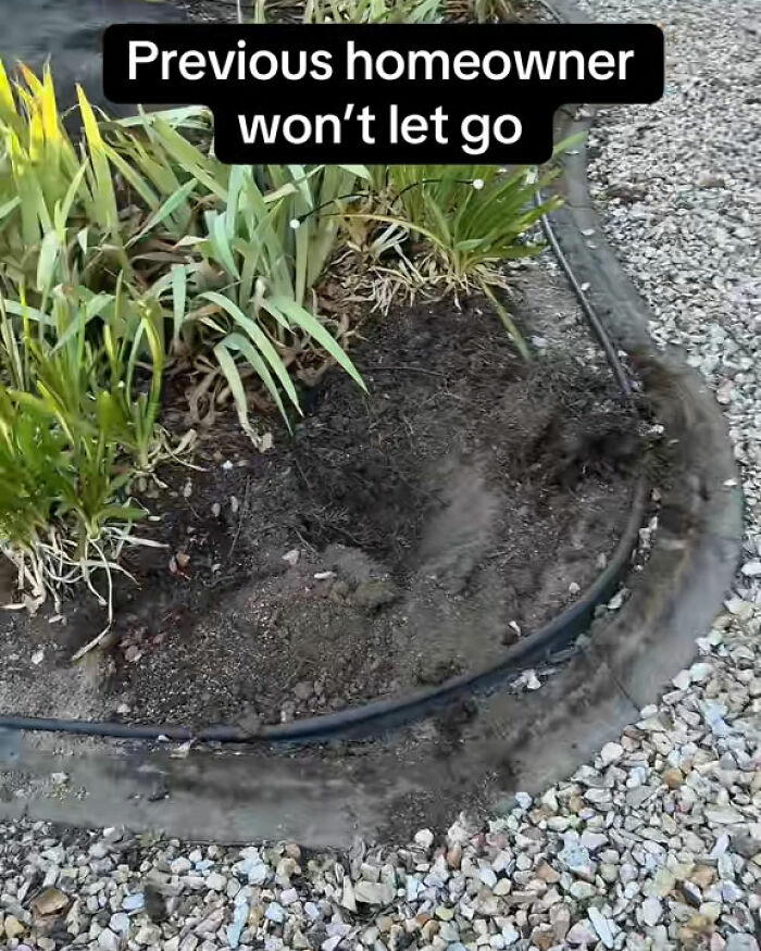 &#8220;Call The Cops&#8221;: Man&#8217;s Ongoing Plant Feud With House&#8217;s Former Owner Goes Viral