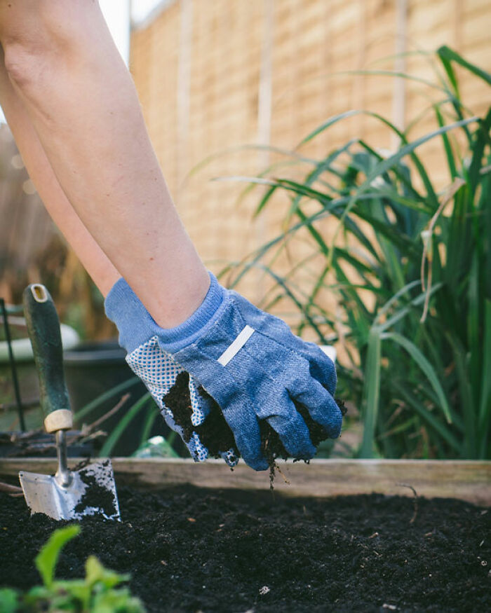 &#8220;Call The Cops&#8221;: Man&#8217;s Ongoing Plant Feud With House&#8217;s Former Owner Goes Viral