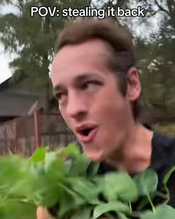 &#8220;Call The Cops&#8221;: Man&#8217;s Ongoing Plant Feud With House&#8217;s Former Owner Goes Viral