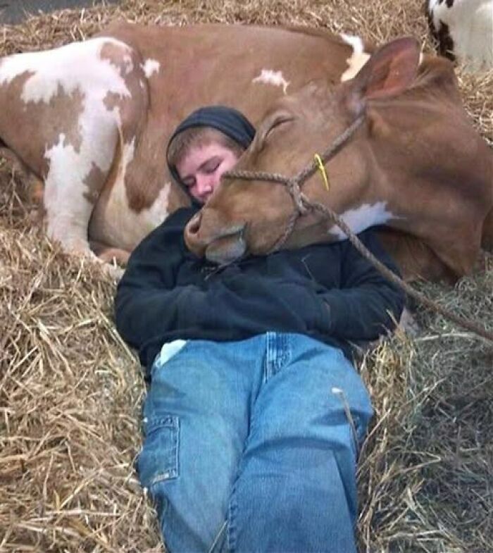 80 Wholesome Photos Of Animals That Might Have You Smiling Uncontrollably