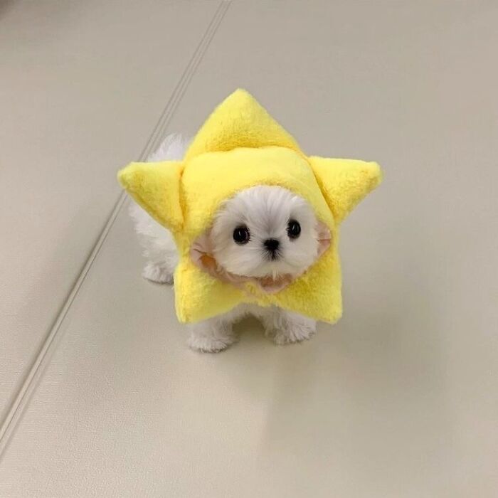 80 Wholesome Photos Of Animals That Might Have You Smiling Uncontrollably