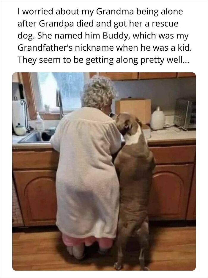 80 Wholesome Photos Of Animals That Might Have You Smiling Uncontrollably