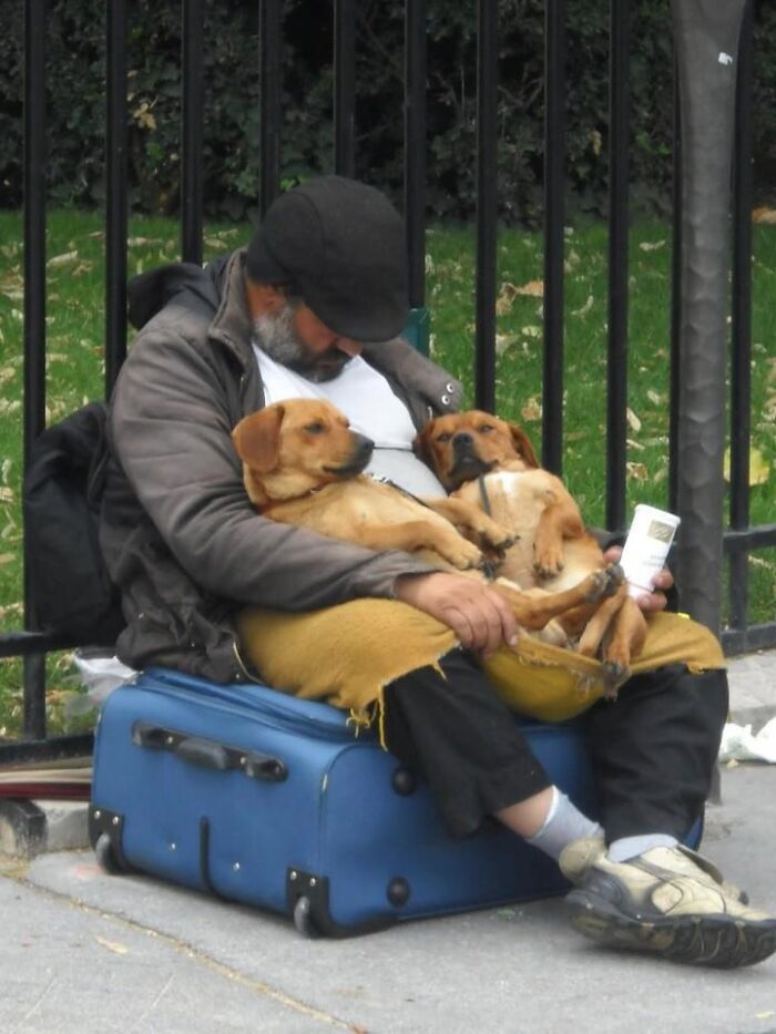 80 Wholesome Photos Of Animals That Might Have You Smiling Uncontrollably