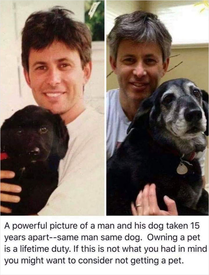 80 Wholesome Photos Of Animals That Might Have You Smiling Uncontrollably