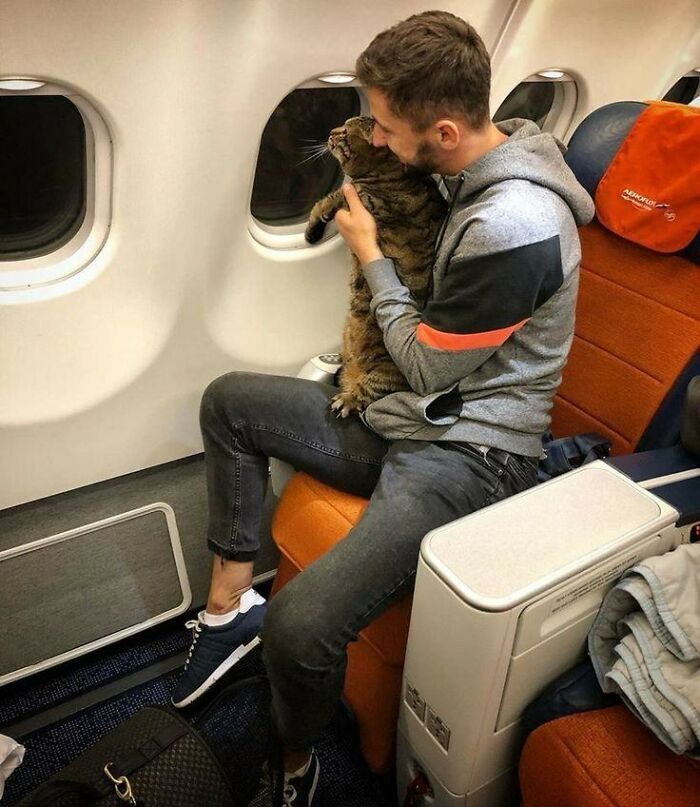 80 Wholesome Photos Of Animals That Might Have You Smiling Uncontrollably