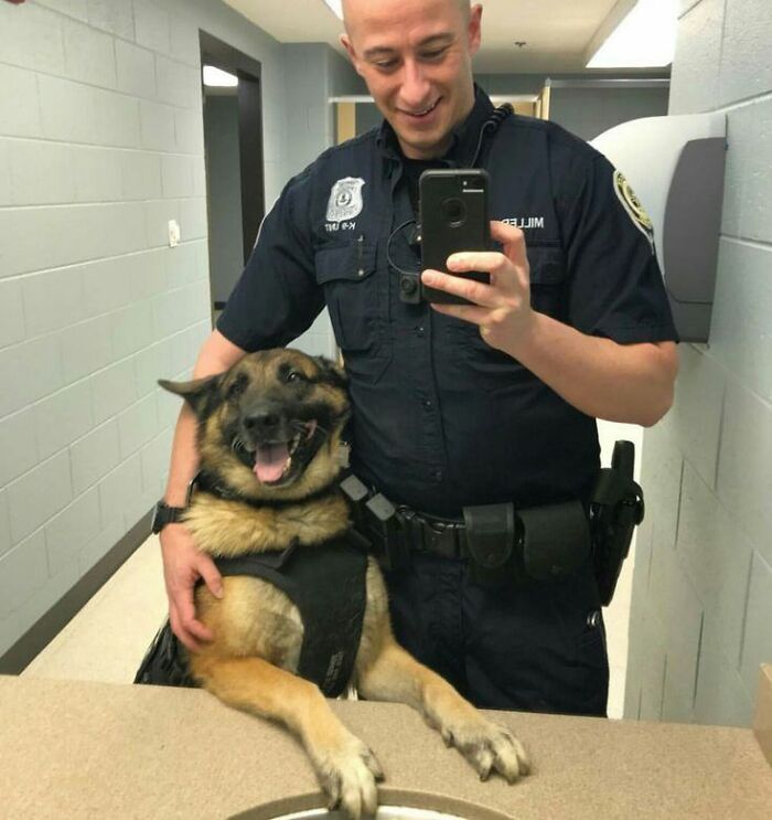 80 Wholesome Photos Of Animals That Might Have You Smiling Uncontrollably