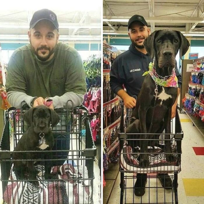 80 Wholesome Photos Of Animals That Might Have You Smiling Uncontrollably