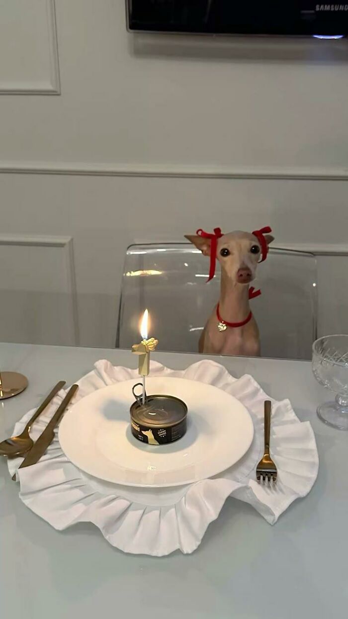 80 Wholesome Photos Of Animals That Might Have You Smiling Uncontrollably
