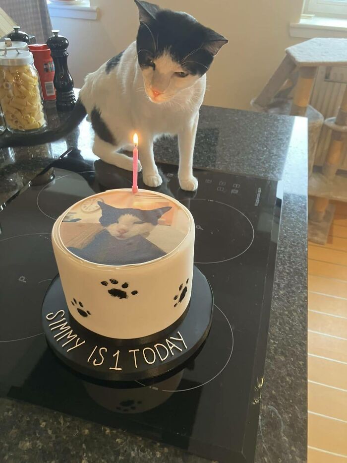 80 Wholesome Photos Of Animals That Might Have You Smiling Uncontrollably