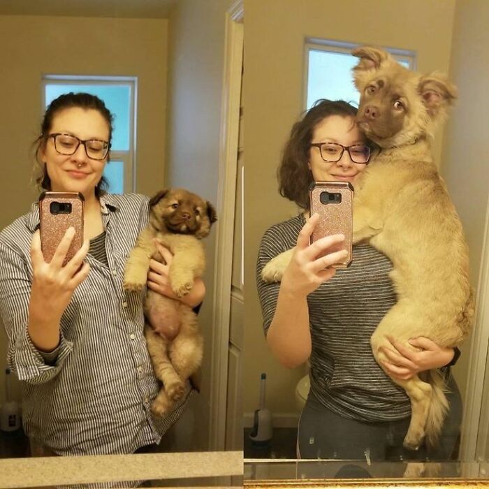 80 Wholesome Photos Of Animals That Might Have You Smiling Uncontrollably