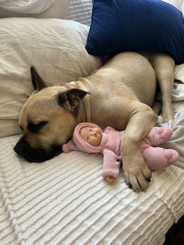 80 Wholesome Photos Of Animals That Might Have You Smiling Uncontrollably