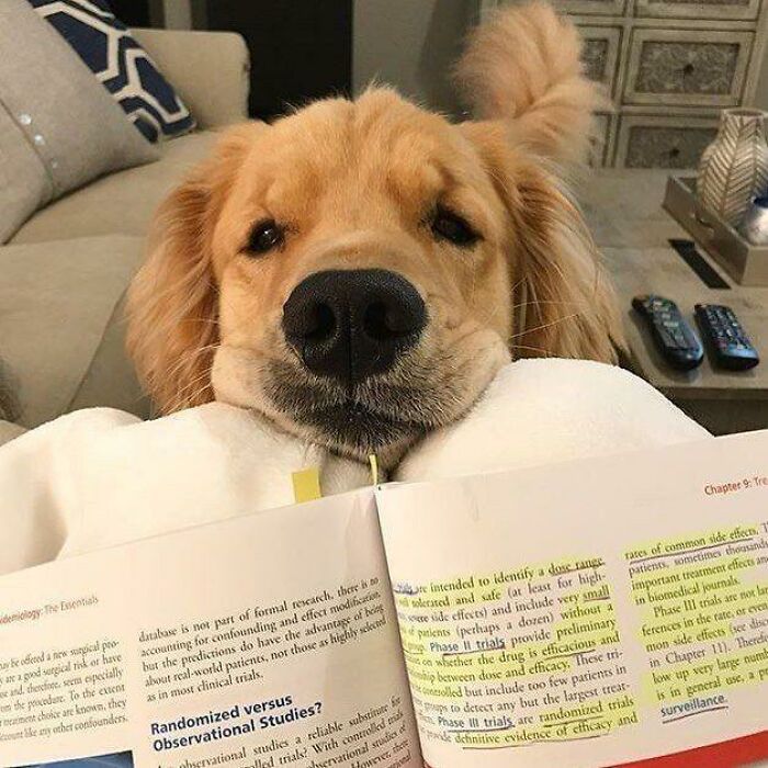 80 Wholesome Photos Of Animals That Might Have You Smiling Uncontrollably
