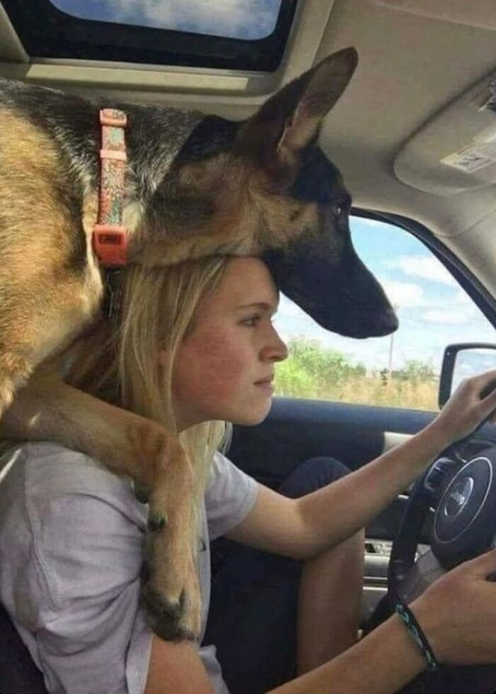 80 Wholesome Photos Of Animals That Might Have You Smiling Uncontrollably