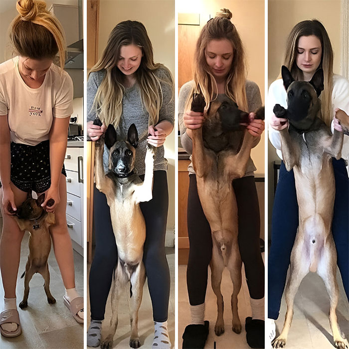 80 Wholesome Photos Of Animals That Might Have You Smiling Uncontrollably