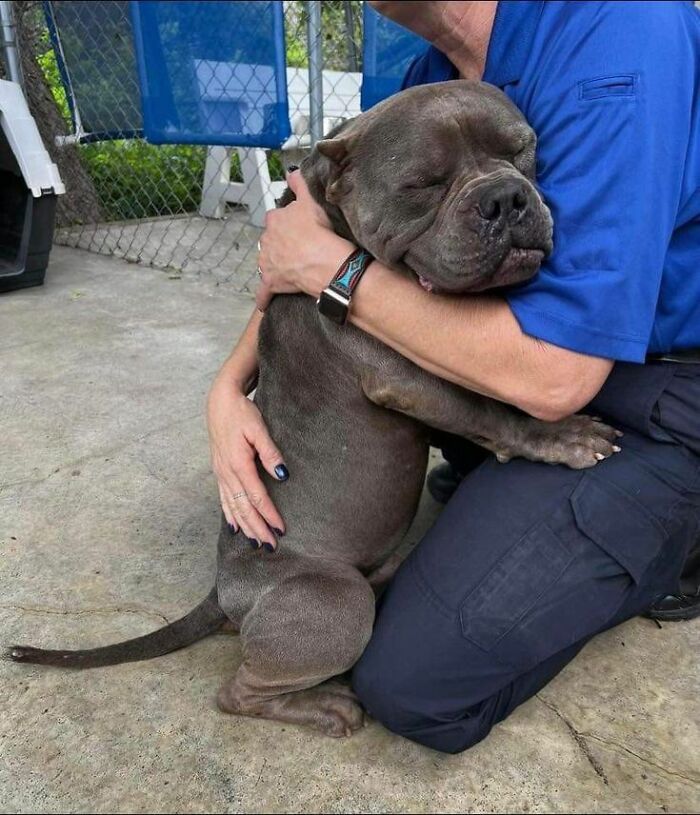 80 Wholesome Photos Of Animals That Might Have You Smiling Uncontrollably