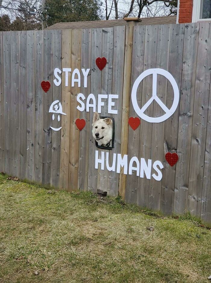 67 Acts Of Harmless Vandalism That Spread More Joy Instead Of Anger, Captured In Random Places
