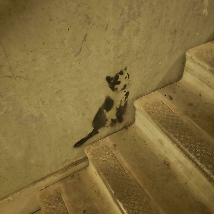 67 Acts Of Harmless Vandalism That Spread More Joy Instead Of Anger, Captured In Random Places
