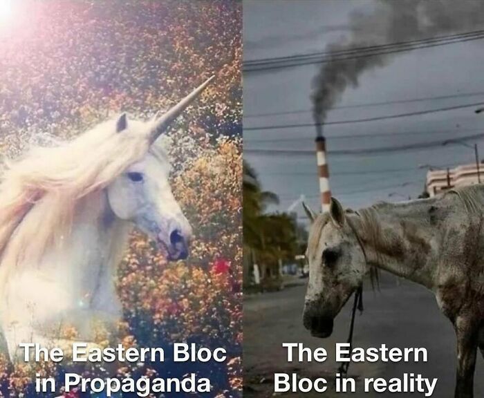 You Might Have Studied History More If You Had These 45 Funny Memes To Help You (New Pics)