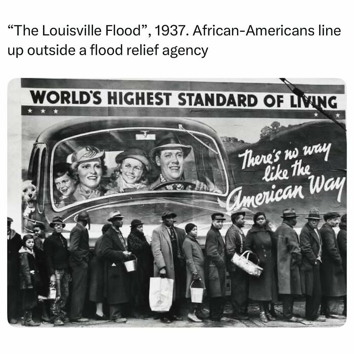 You Might Have Studied History More If You Had These 45 Funny Memes To Help You (New Pics)