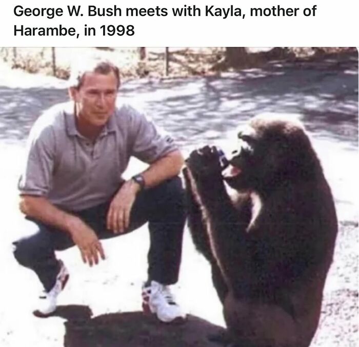 You Might Have Studied History More If You Had These 45 Funny Memes To Help You (New Pics)