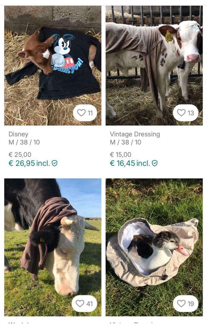 “Am I The Vinted Idiot?”: 80 Unhinged Vinted Posts That Had People Doing A Second Take