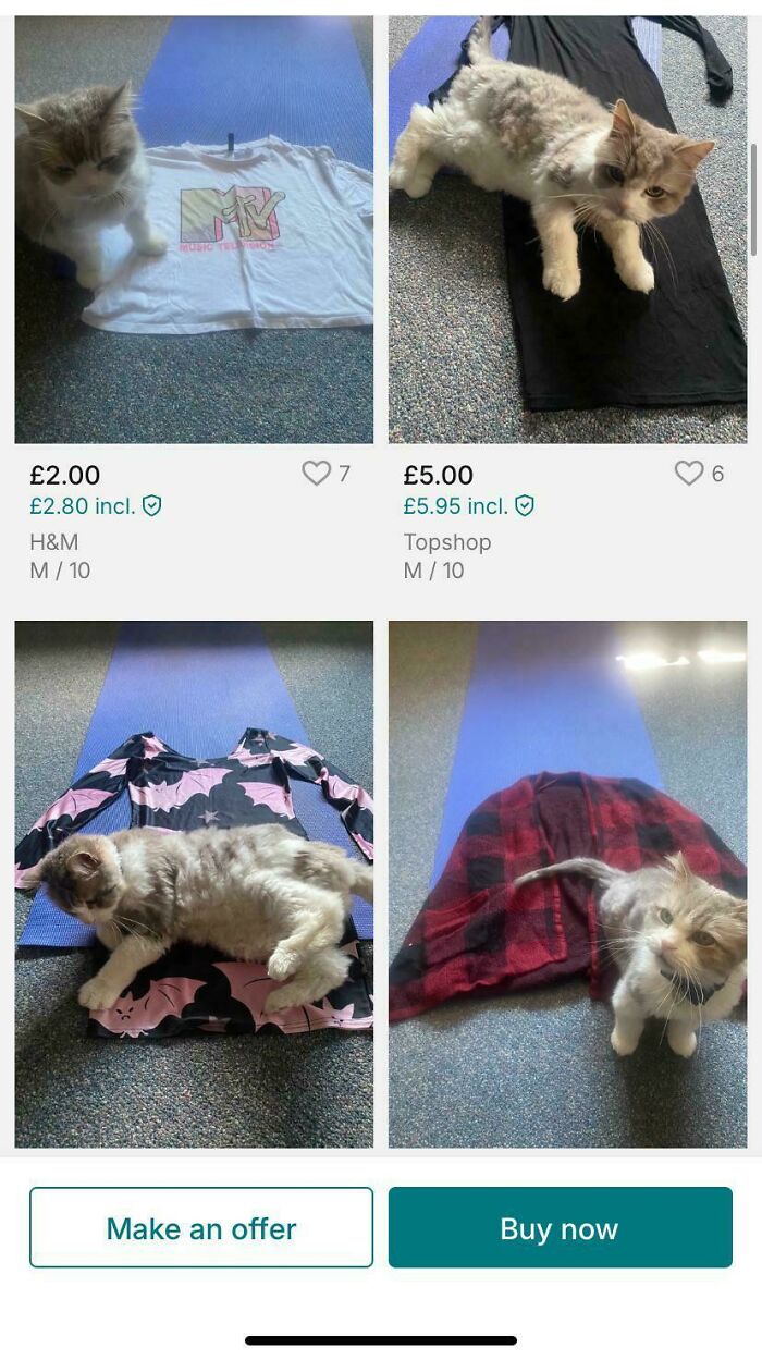 “Am I The Vinted Idiot?”: 80 Unhinged Vinted Posts That Had People Doing A Second Take