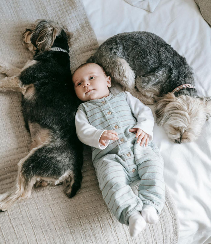 Person Loses Sleep Over Potential CPS Call As Spouse&#8217;s Parents Don’t Approve Of Dogs In The House