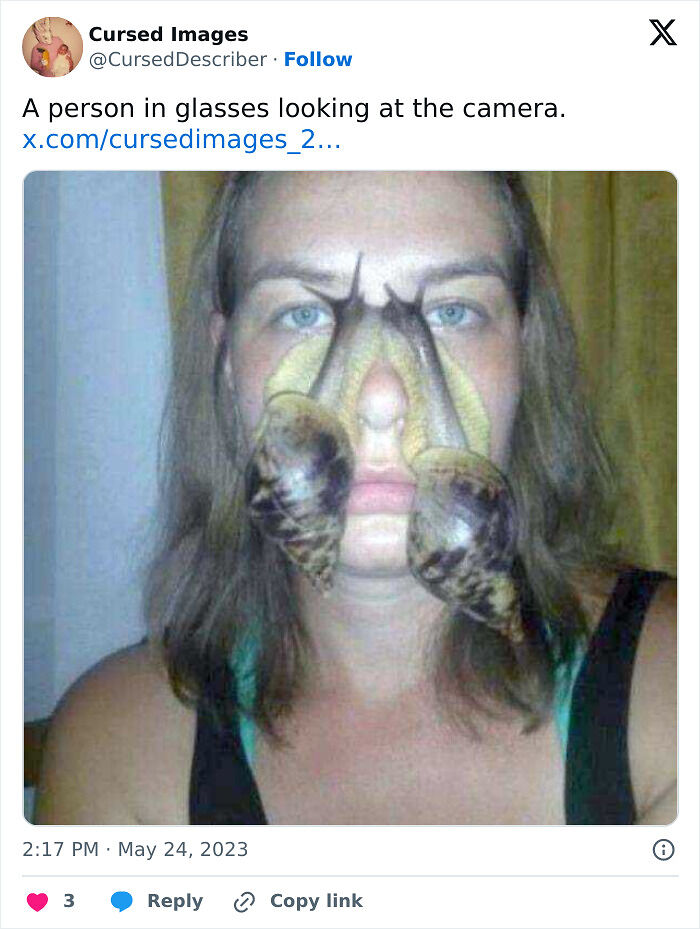 100 Disturbing Pictures So Wrong They Have To Be Cursed