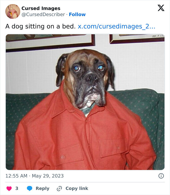 100 Disturbing Pictures So Wrong They Have To Be Cursed