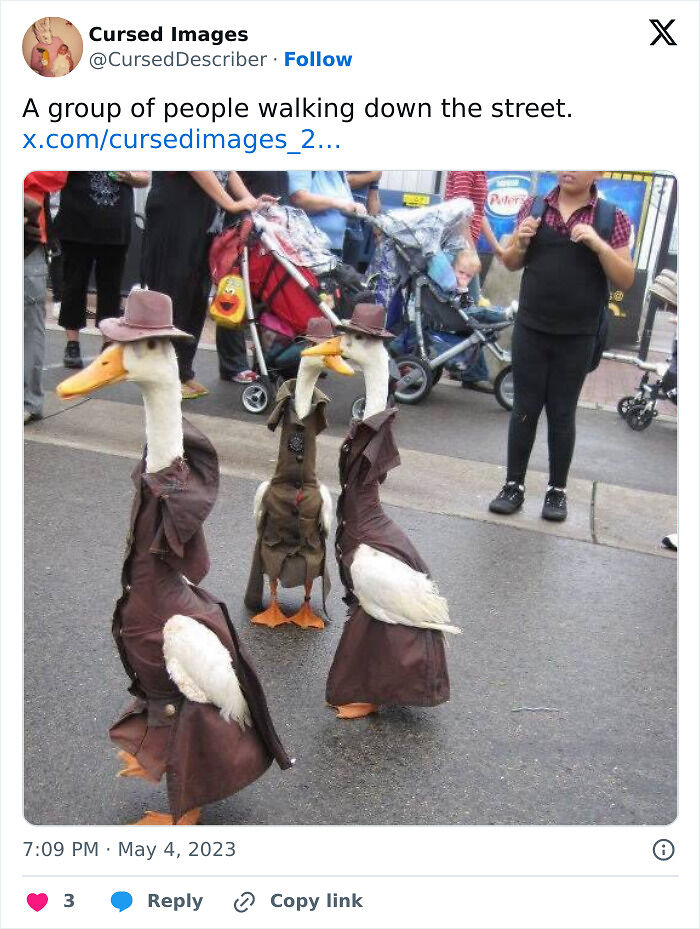 100 Disturbing Pictures So Wrong They Have To Be Cursed