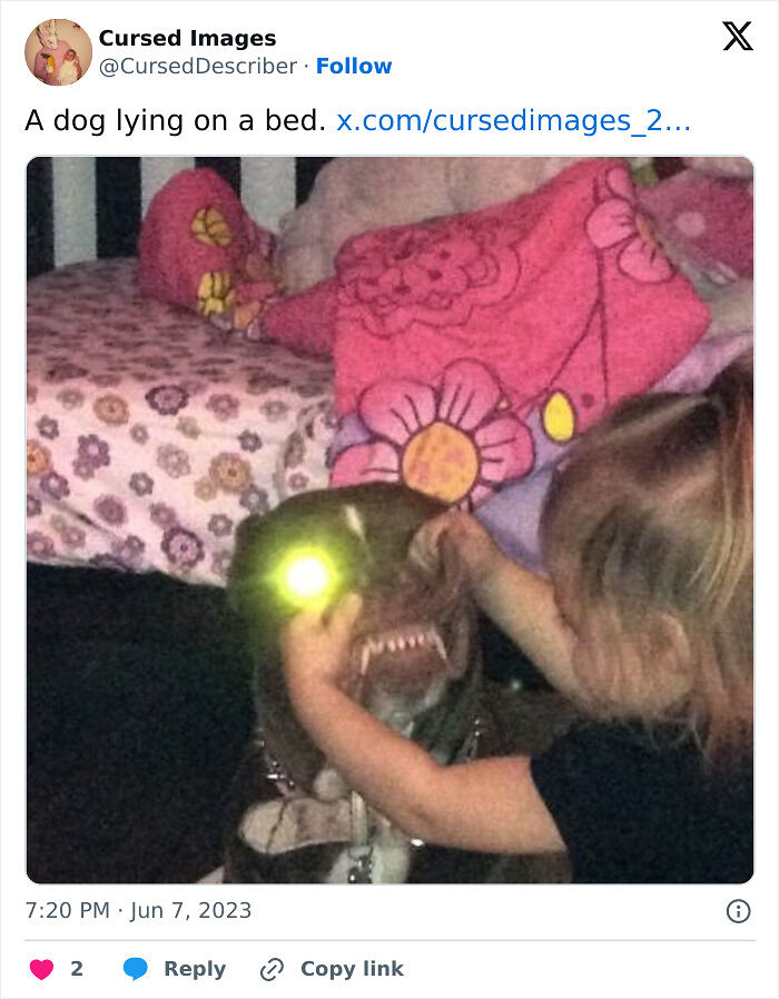 100 Disturbing Pictures So Wrong They Have To Be Cursed