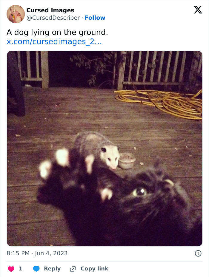 100 Disturbing Pictures So Wrong They Have To Be Cursed