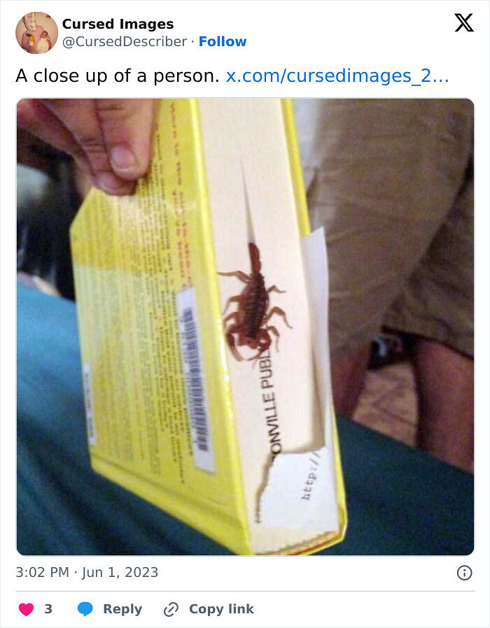 100 Disturbing Pictures So Wrong They Have To Be Cursed