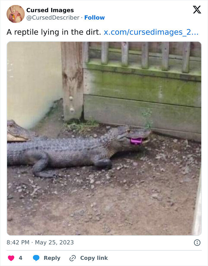 100 Disturbing Pictures So Wrong They Have To Be Cursed